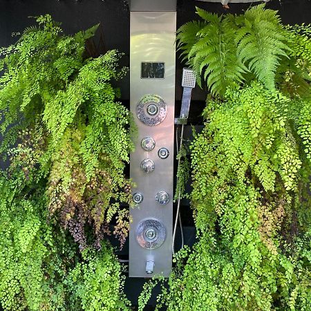 خليج هيرفي Freshwater Bnb المظهر الخارجي الصورة